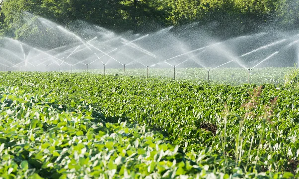 Rainwater harvesting irrigation systems for agriculture.